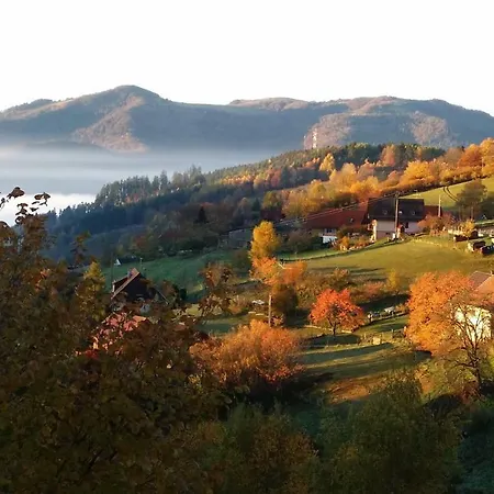 Les Lupins Holiday home